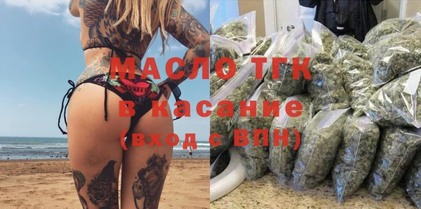 мет Алексин