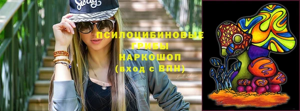 мет Алексин