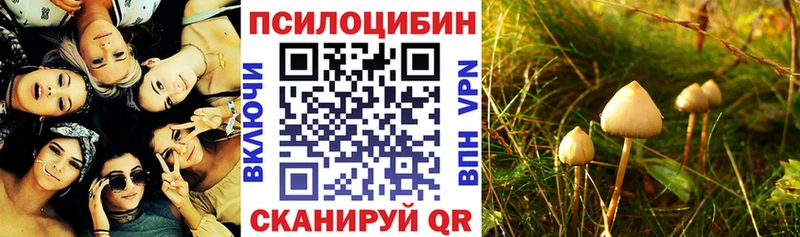 маркетплейс Telegram  Алдан  Псилоцибиновые грибы ЛСД 